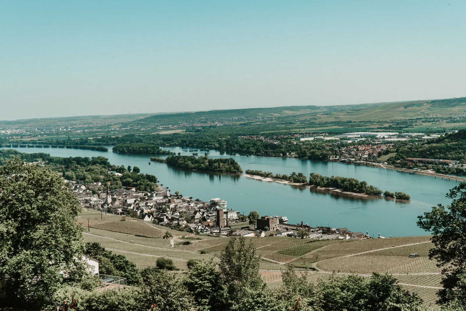 Luftaufnahme des Rheins mit Weinbergen bei Rüdesheim am Rhein